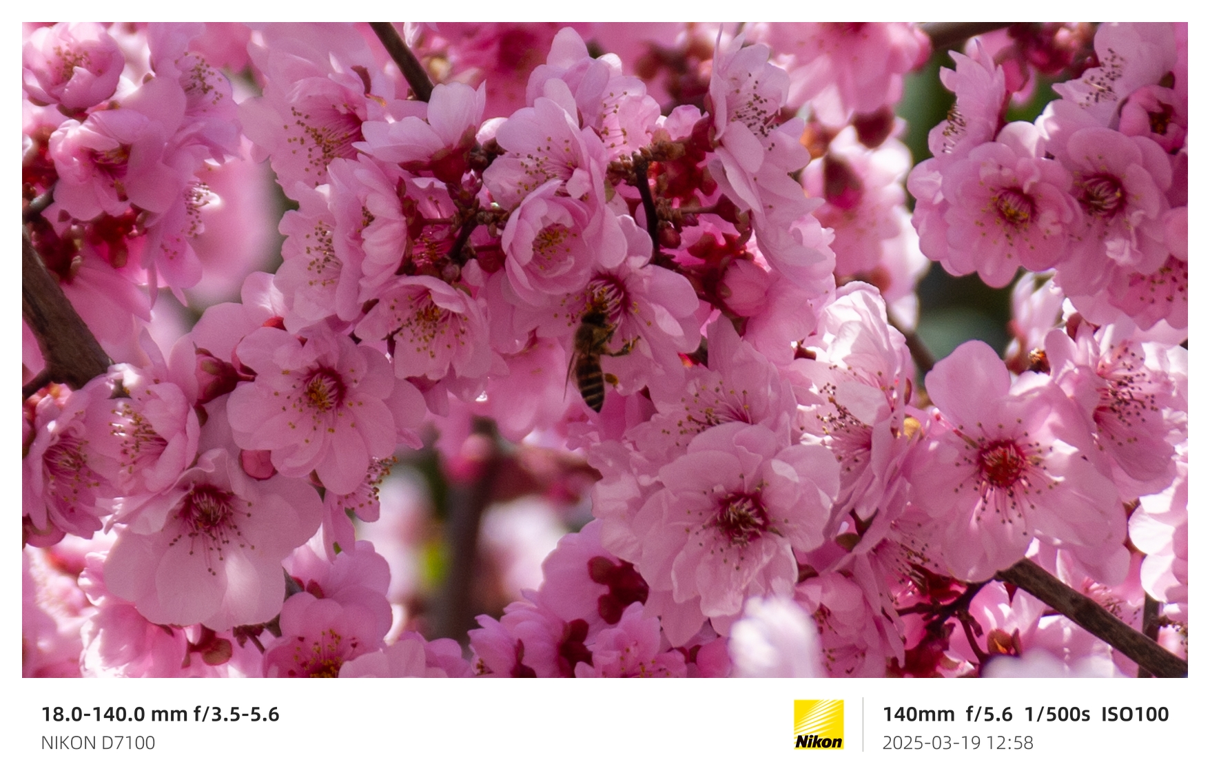 这里是图片描述